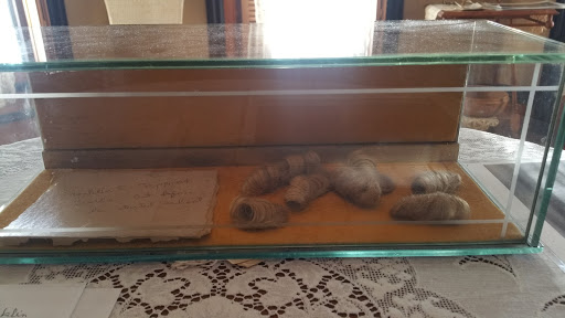 Museum «The Cappon House», reviews and photos, 228 W 9th St, Holland, MI 49423, USA