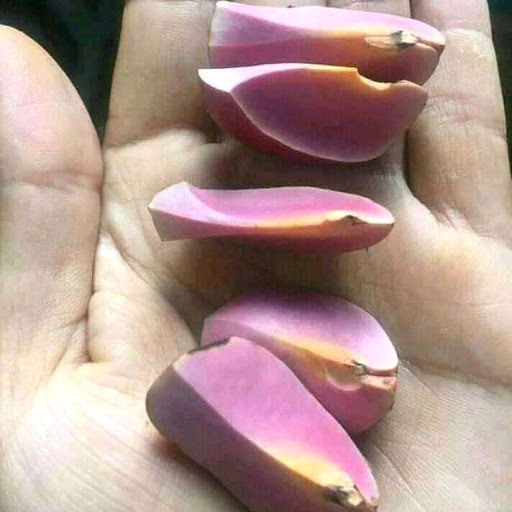 Post Office «United States Postal Service», reviews and photos, 211 Hope St, Mountain View, CA 94041, USA