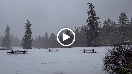 Winery «Comforts of Whidbey», reviews and photos, 5219 View Rd, Langley, WA 98260, USA