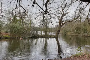 Epping Forest image