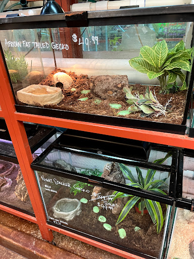 Pet Store «Animal Ark», reviews and photos, 175 S 500 E St, American Fork, UT 84003, USA