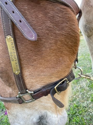 Family Law Attorney «Best Law Firm», reviews and photos