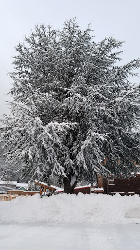 Grocery Store «Columbia Market», reviews and photos, 450 Wa Na Pa St, Cascade Locks, OR 97014, USA