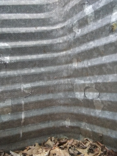 Window Installation Service «Renewal by Andersen of Central Pennsylvania», reviews and photos, 4856 Carlisle Pike, Mechanicsburg, PA 17050, USA