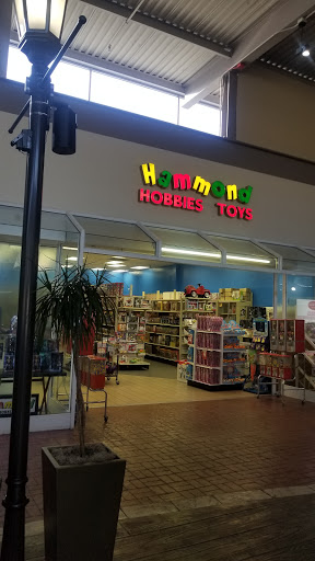 Hammond Toys, Hobbies and dolls