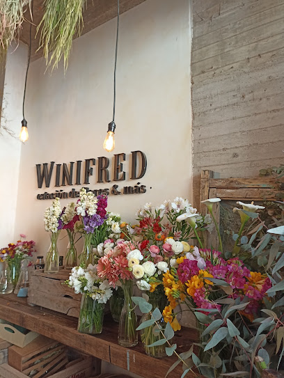 Winifred estacion de flores