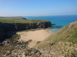 Photo de Beacon Cove avec baie spacieuse