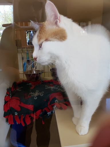 Pet Supply Store «Pet Food Express», reviews and photos, 838 Southampton Rd, Benicia, CA 94510, USA