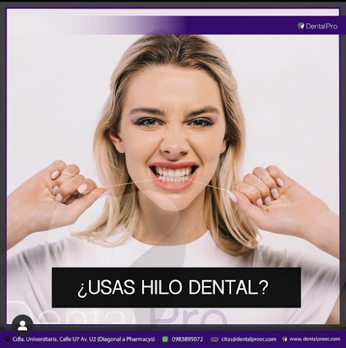 DentalPro - Manta