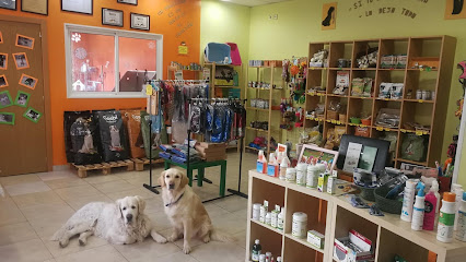 Másqpelos peluquería canina y felina - Servicios para mascota en Getafe