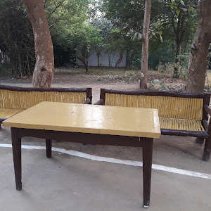 Hotel Whispering Grass Resort photo