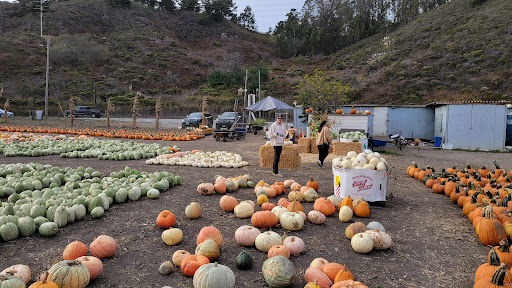 Pick your own farm produce Oakland