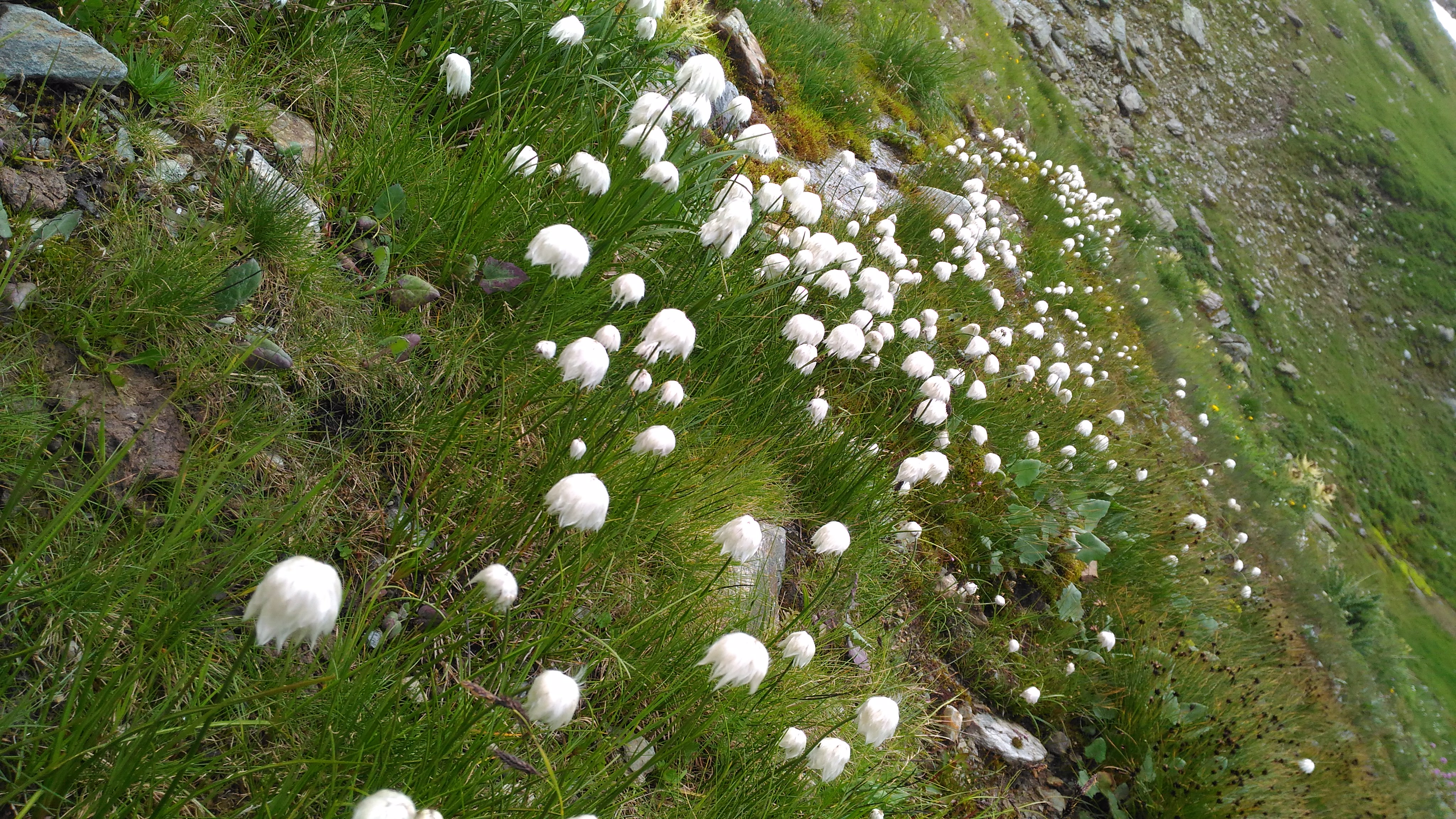 Photo n° 26 de l'avis de CHRIST. fait le 25/07/2018 à 18:05