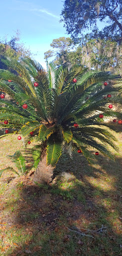 Park «Pigeon Point Park», reviews and photos, 1521 Pigeon Point Rd, Beaufort, SC 29902, USA