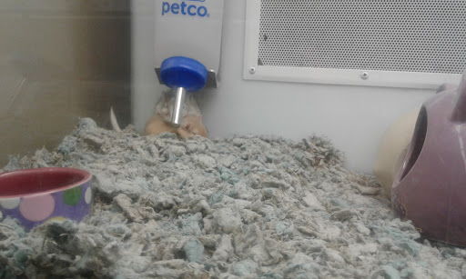 Pet Supply Store «Petco Animal Supplies», reviews and photos, 3430 W State St, Grand Island, NE 68803, USA