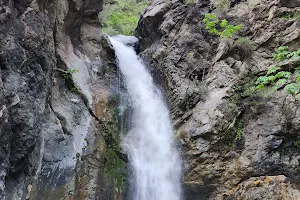 Eaton Canyon Falls Trail image