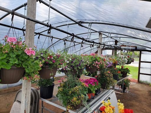 Florist «McClure-Parkhurst Florist», reviews and photos, 25815 W 10 Mile Rd, Southfield, MI 48033, USA