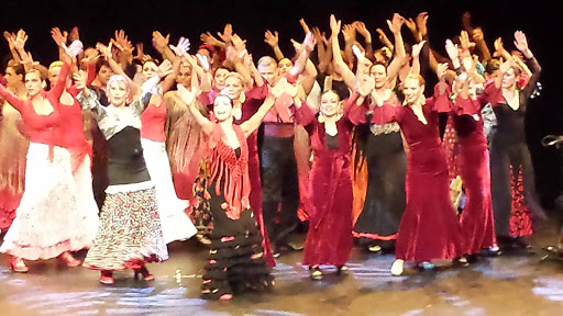 Flamenco Pasión