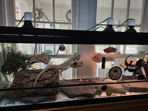 Pet Store «Moby Dick Pet Store Inc», reviews and photos, 3700 Sashabaw Rd, Waterford Twp, MI 48329, USA