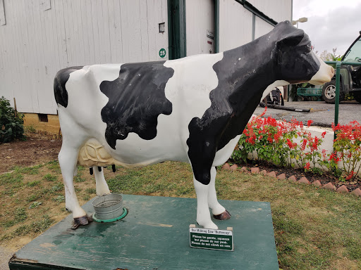 Heritage Museum «The Amish Farm and House», reviews and photos, 2395 Covered Bridge Dr, Lancaster, PA 17602, USA