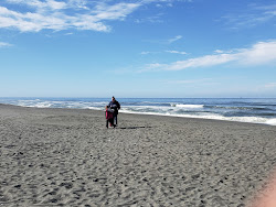 Photo de Gold Bluffs Beach avec un niveau de propreté de très propre