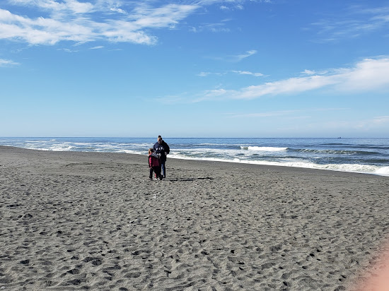 Gold Bluffs Beach