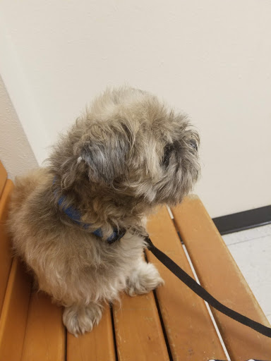 Pet Supply Store «PetSmart», reviews and photos, 4900 Monticello Ave, Williamsburg, VA 23188, USA