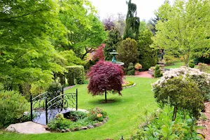 Forest Glade Gardens image