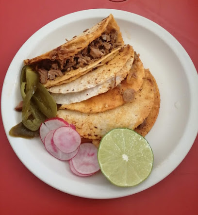 Tacos Memo - Del Carro 11, Centro, 49000 Zapotlán el Grande, Jal., Mexico