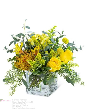 Florist «Flower Forrest», reviews and photos, 7101 San Pedro Ave, San Antonio, TX 78216, USA