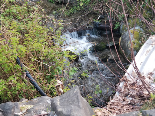 Tourist Attraction «Dalby Water Wheel», reviews and photos, 6940 WA-106, Union, WA 98592, USA