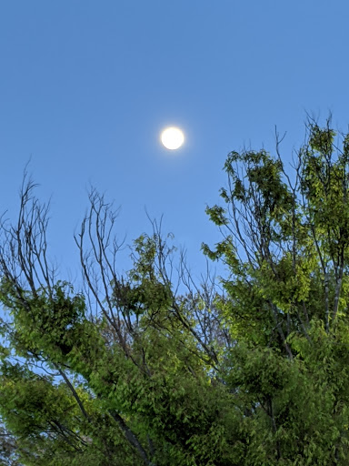 Supermarket «The Harrison Market», reviews and photos, 355 Halstead Ave, Harrison, NY 10528, USA