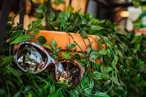 Eye Care Center «Levato Eyewear», reviews and photos, 21 Oak St, Ridgewood, NJ 07450, USA