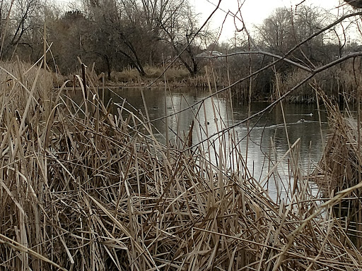Nature Preserve «Wilson Springs Ponds», reviews and photos, 3209-3507 S Powerline Rd, Nampa, ID 83686, USA