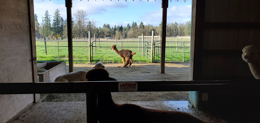 Livestock Breeder «Alpacas at Marquam Hill Ranch», reviews and photos, 35835 OR-213, Molalla, OR 97038, USA