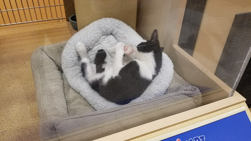 Pet Supply Store «PetSmart», reviews and photos, 208 Mariner Way, Biddeford, ME 04005, USA