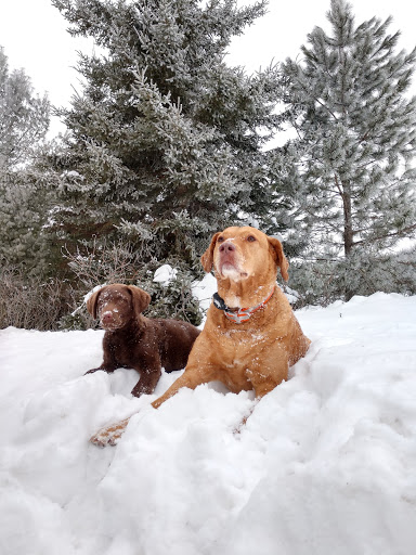 670 3rd Ave SE, Perham, MN 56573, USA