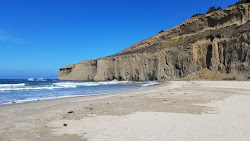 Tunitas Beach'in fotoğrafı vahşi alan