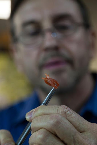 Jewelry Designer «Koop Diamond Cutters Inc.», reviews and photos, 214 E 8th St #4, Cincinnati, OH 45202, USA