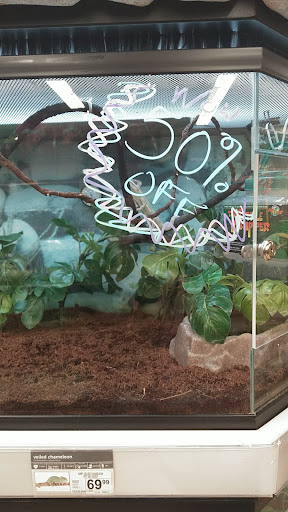 Pet Supply Store «Petco Animal Supplies», reviews and photos, 30697 US Hwy 19 N, Palm Harbor, FL 34684, USA