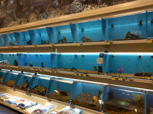 Pet Supply Store «PetSmart», reviews and photos, 5650 Mercury Dr, Dearborn, MI 48126, USA