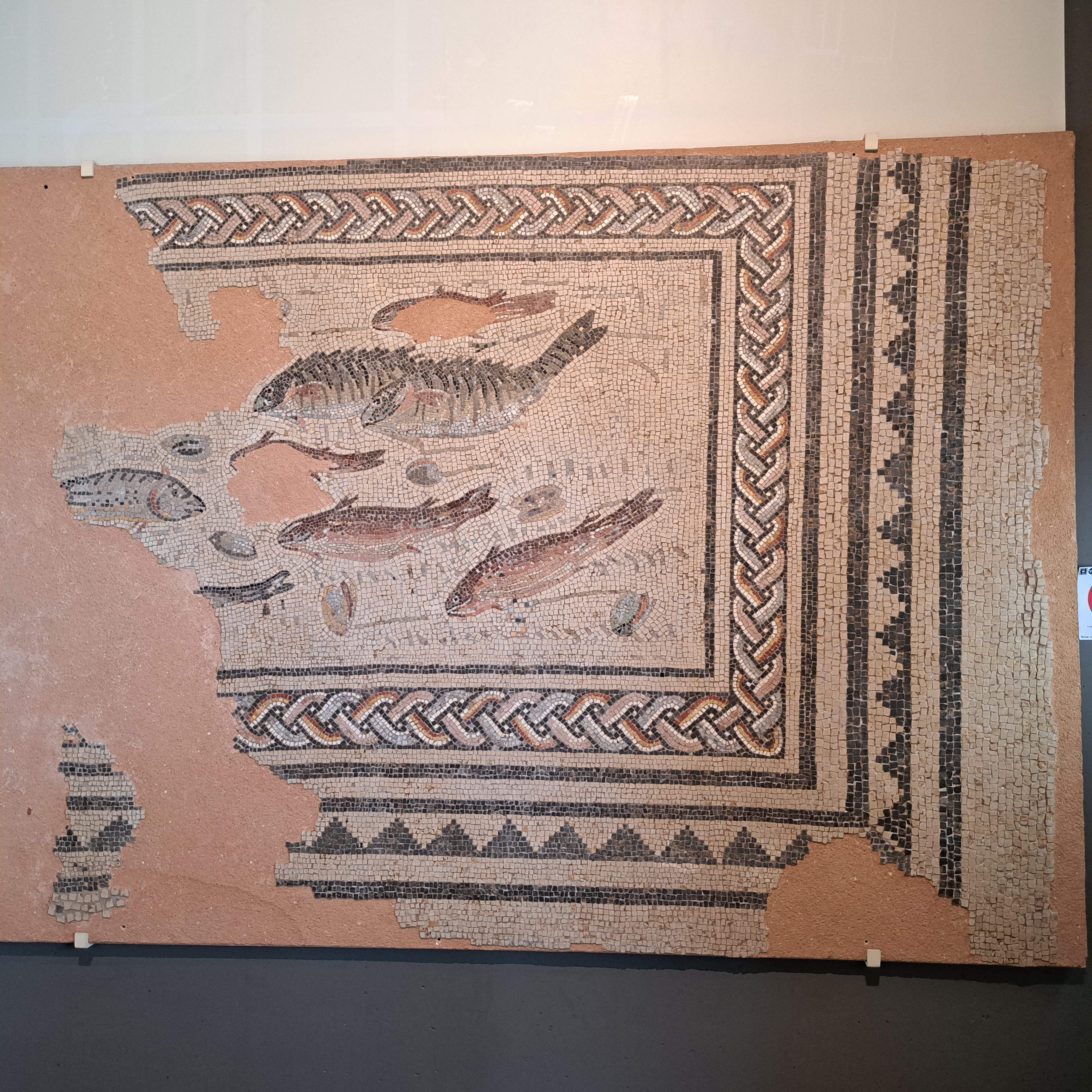 Photo n° 3 de l'avis de Rianne.t fait le 31/08/2023 à 06:54