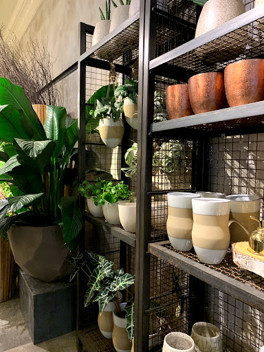 Florist «Winston Flowers - Concord», reviews and photos, 32 Main St #5, Concord, MA 01742, USA