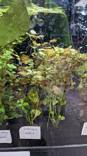 Pet Store «Animal Ark Pet Stores», reviews and photos, 33 Center St, Orem, UT 84057, USA