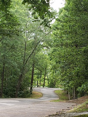 Twelve Mile Recreation Area - photo 30