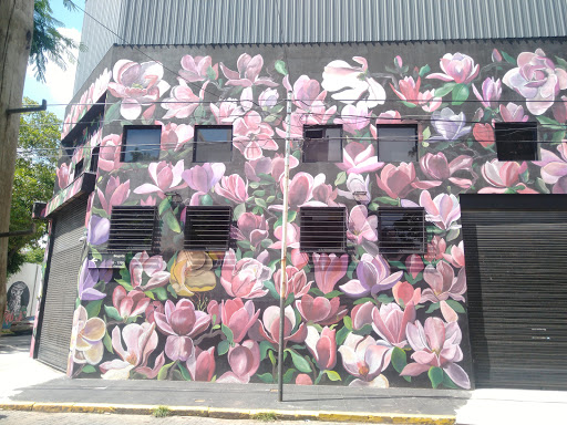 Fabric shops in Buenos Aires