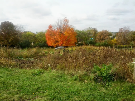 Public Golf Course «Hansen Park Golf Course», reviews and photos, 9800 Underwood Pkwy, Wauwatosa, WI 53226, USA