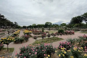 Kadokura Techno Rose Garden, Shikishima Park image