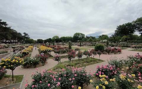 Kadokura Techno Rose Garden, Shikishima Park image