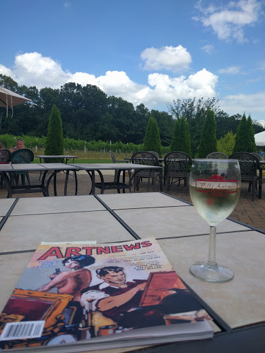 Winery «Villa Antonio Winery», reviews and photos, 3660 Linhorst Rd, Hillsboro, MO 63050, USA
